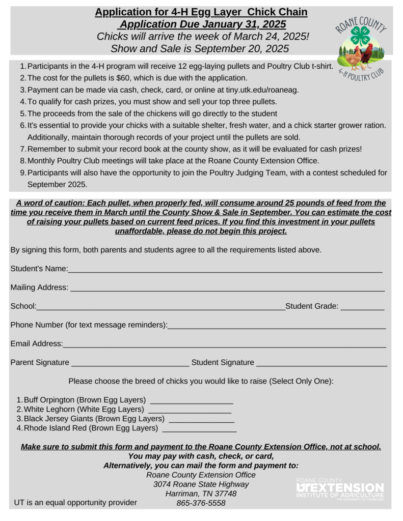 Poultry Club | Roane County
